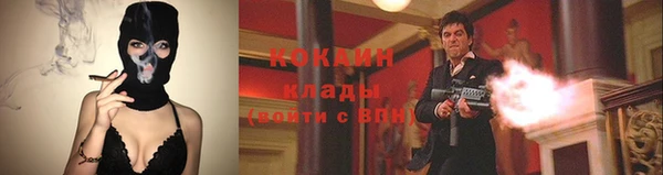трава Ладушкин