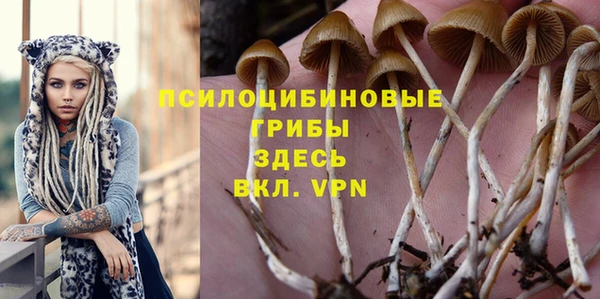 мяу мяу мука Лабытнанги