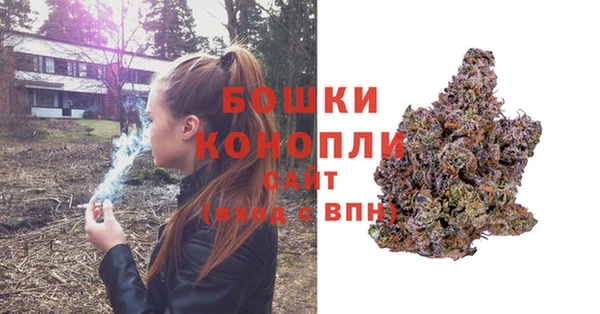 трава Ладушкин