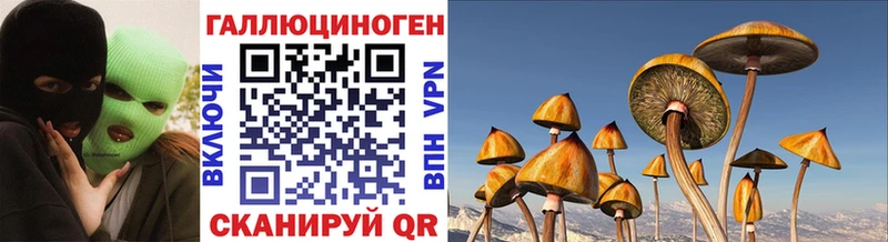 Псилоцибиновые грибы Cubensis  Купить закладки  Ахтубинск 